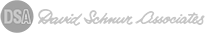 David Schnur Associates logo